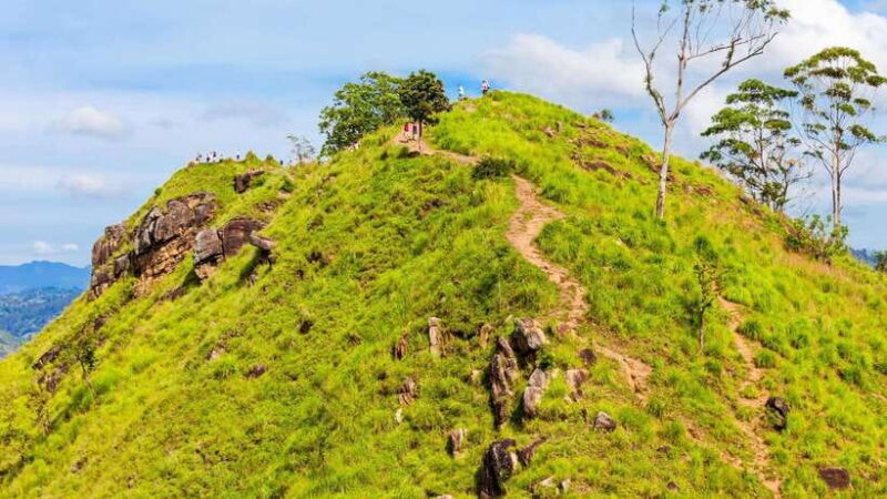Sri Lanka: 6-Day Luxury Honeymoon Tour - What’s Included and What’s Not?