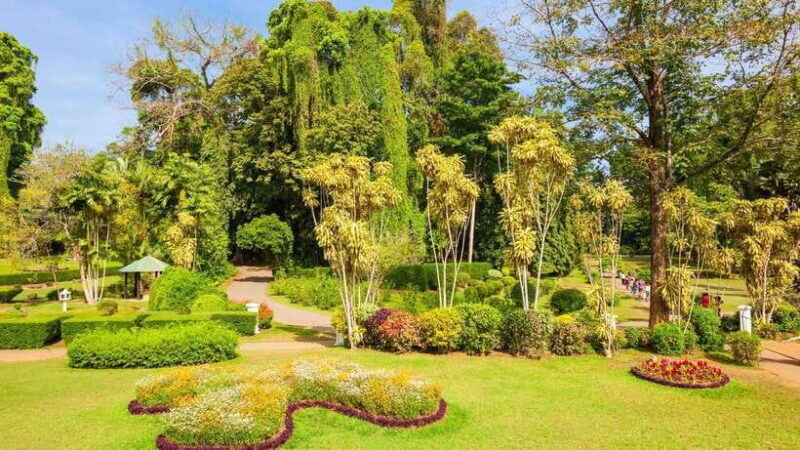 Sri Lanka: 6-Day Luxury Honeymoon Tour - Authentic Experiences and Traveler Feedback