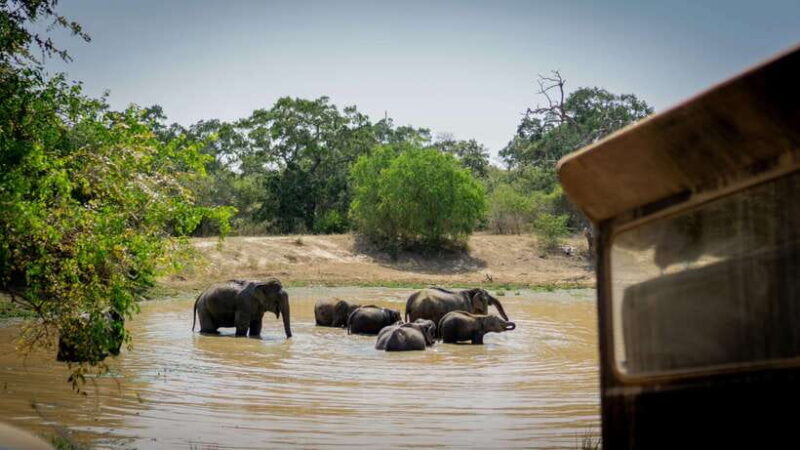 Sri Lanka 6-Day Tour Beach Stay, Wildlife, History, Culture - FAQ