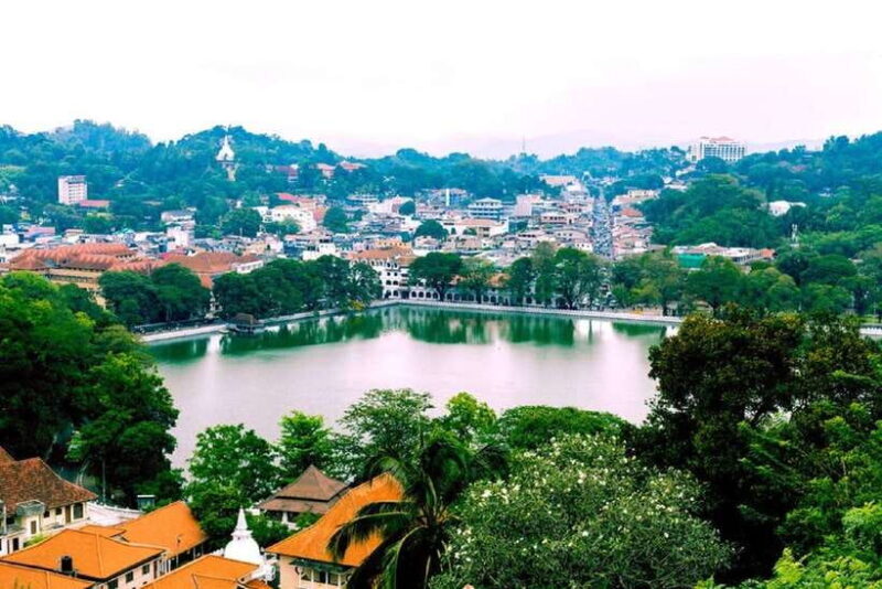 Sri Lanka: 7-Day Off-The-Beaten Path Private Tour - A Deep Dive into the 7-Day Itinerary