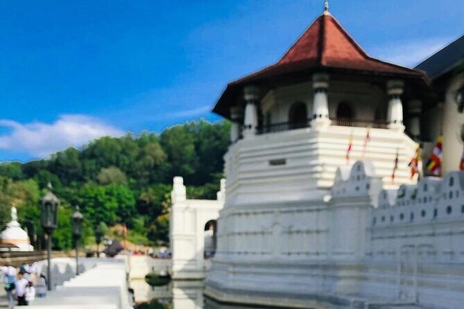 Sri Lanka 7 Day Tour with Private Driver - Day 7: Colonial Galle and Farewell