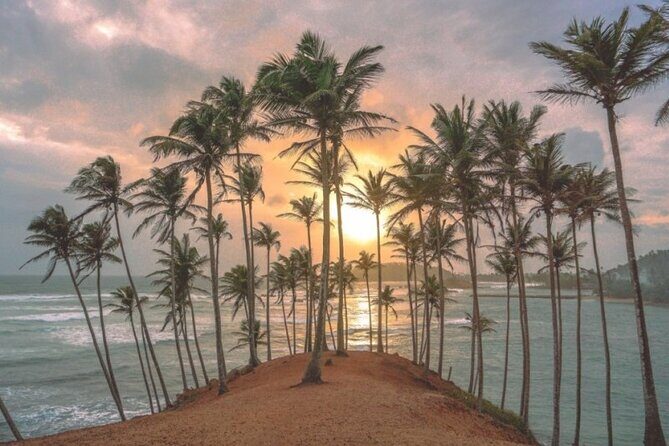 Sri Lanka 8 Tage 7 Nächte Tour mit privatem Fahrer - FAQ