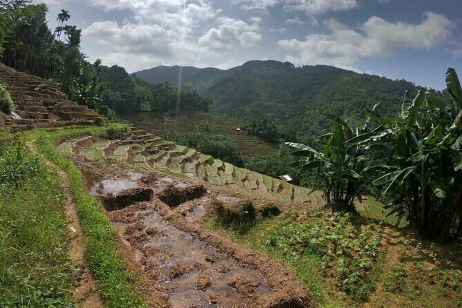 Sri Lanka All Inclusive Day Tour: Hiking & Activities Farmers Village Kandy - Practical Details: What to Expect