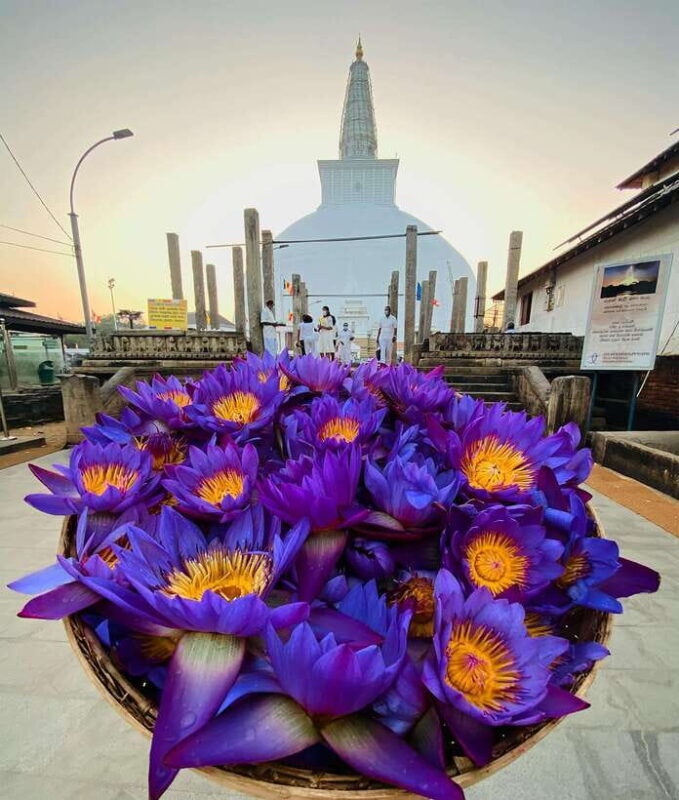 Sri Lanka Ancient Temple, Wildlife, Hill Country Train - Practicalities and Tips for Participants