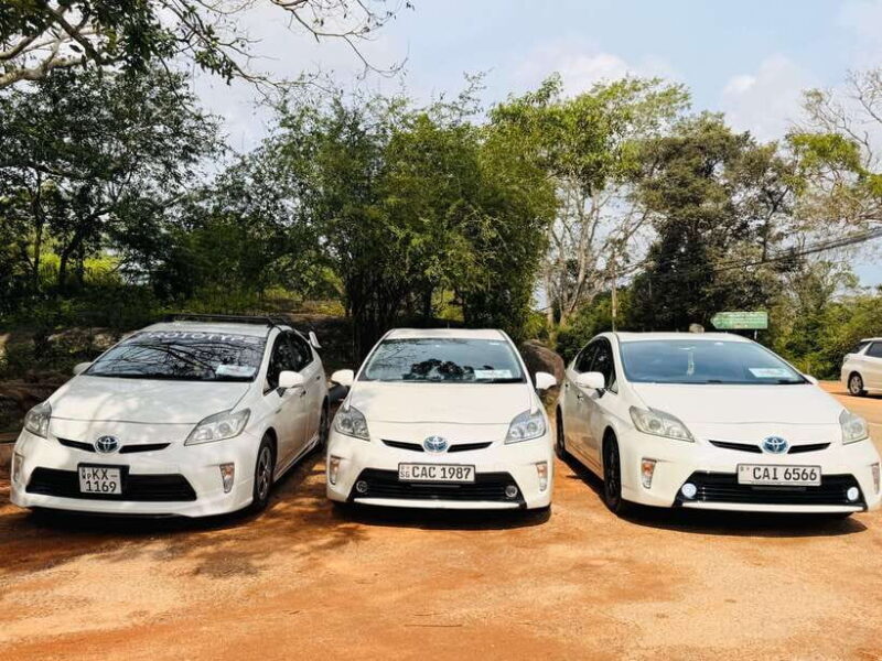 Sri Lanka Car Rental with Driver - 3 Days Minimum, 180km/Day - The Sum Up: Who Finds the Most Value?