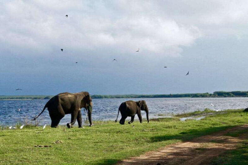 Sri Lanka cultural triangle, hill country and aborigines - FAQ