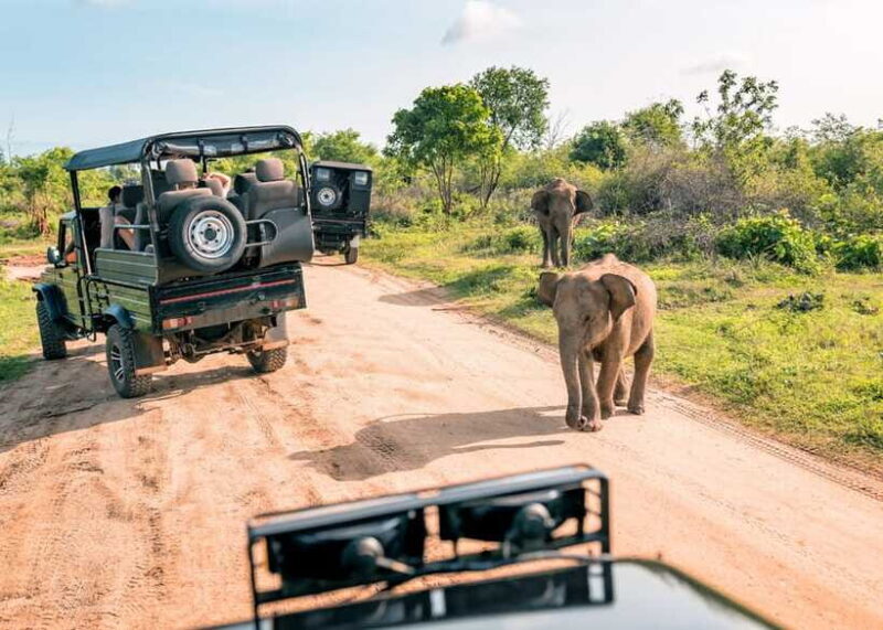 Sri Lanka Cultural Triangle Private 2-Day Tour+Wildlife Tour - Who Should Consider This Tour?