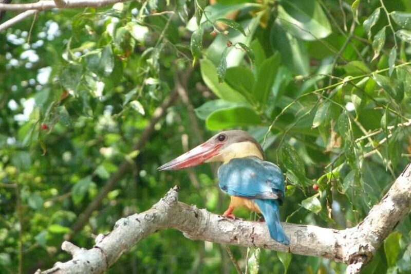 Sri Lanka Green Bless- 2-day Private Trip To Enjoy Nature - Authentic Insights from Travelers