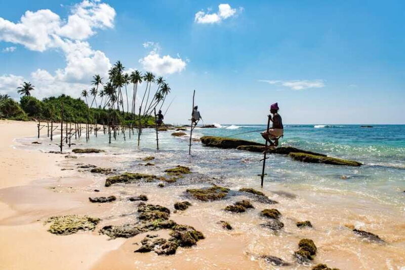 Sri Lanka Green Bless- 2-day Private Trip To Enjoy Nature - The Sum Up