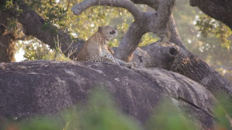Sri Lanka Green Bless- 2-day Private Trip To Enjoy Nature - FAQ