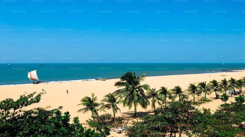 Sri Lanka in 10 Days: Heritage, Hills & Coast - Final Thoughts