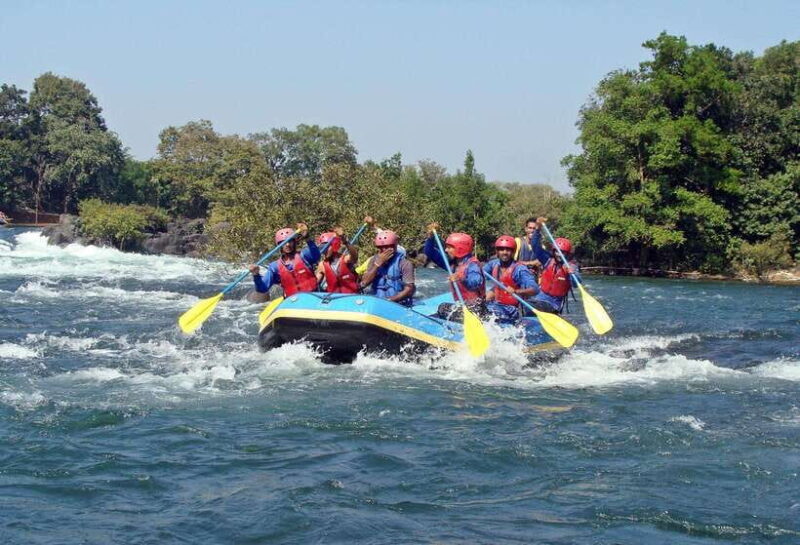 Sri Lanka jungle tour 4 days-rainforests, national parks... - Transportation, Group Size, and Overall Value