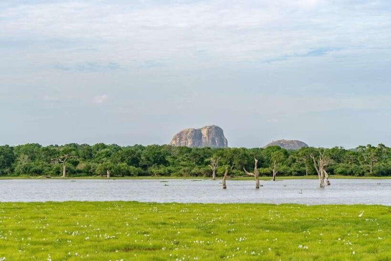 Sri Lanka jungle tour 4 days-rainforests, national parks... - FAQ