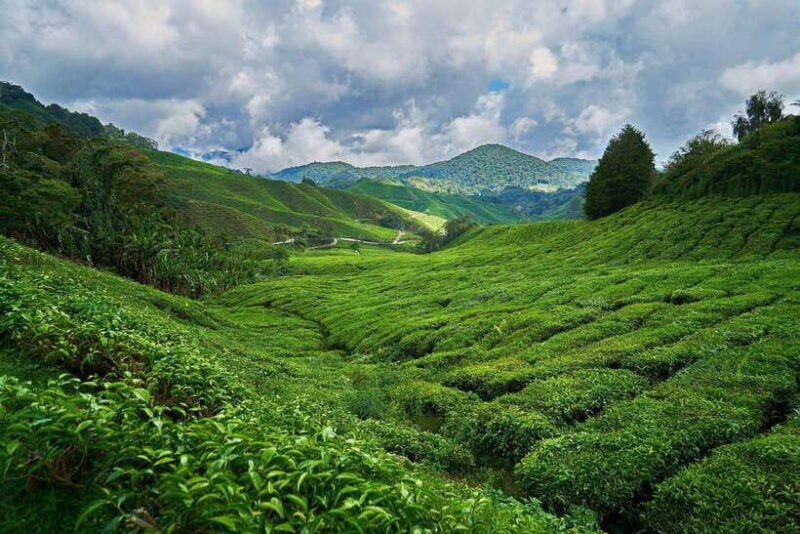 Sri Lanka, Kandy: Hill Country 3-Day Private Tour - What Travelers Say About This Tour