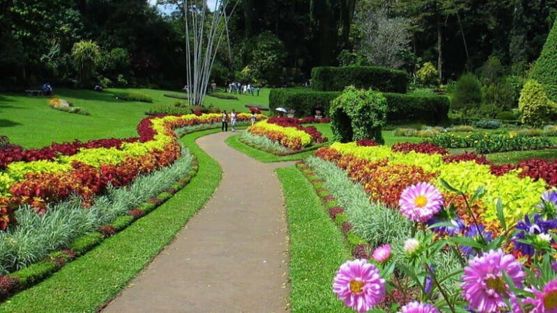 Sri Lanka: Kingdoms, Hill Stations, Beaches and Wildlife - An In-Depth Look at the Tour Experience