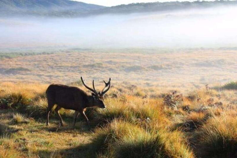 Sri Lanka: Kingdoms, Hill Stations, Beaches and Wildlife - The Sum Up