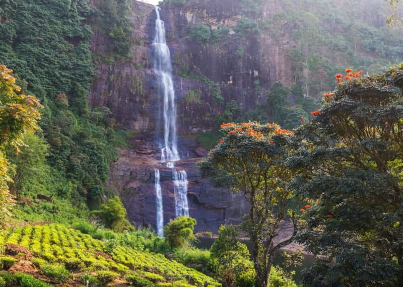 Sri Lanka Private 2-day Tour:Train Trip, Kandy, Nuwara Eliya - Key Points