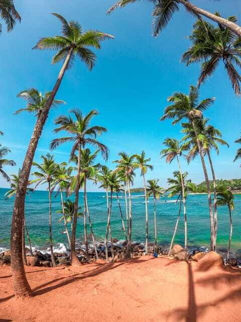 Sri Lanka Private 8-day Tour; Transport, Guide, Hotels, Food - Who Is This Tour Best Suited For?