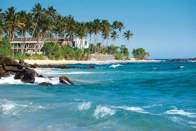 Sri Lanka Private Tour 8 days-Driver/vehicle/accommodation H/B - Day 4: Kandy’s Sacred and Botanical Treasures