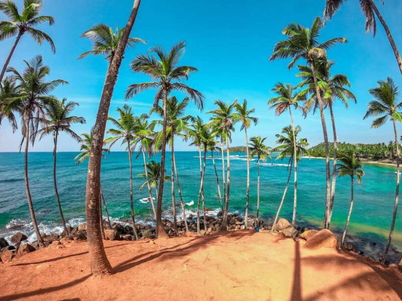 Sri Lanka Private Tour- Beach, Sinharaja, Yala, Udawalawe - Practical Tips for the Tour