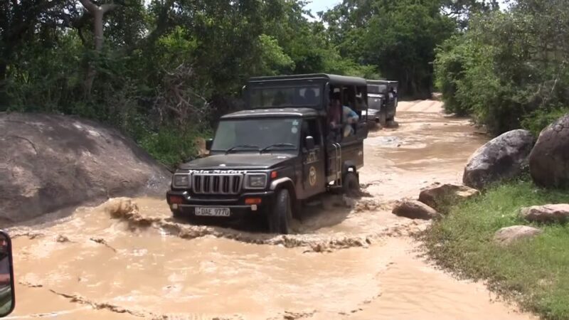 Sri Lanka Private Udawalawe, Sinharaja, Ella With Train Tour - Final Thoughts: Who Should Consider This Tour?