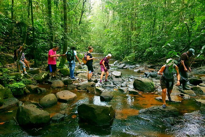 Sri Lanka Sinharaja Rain Forest Tour with Transport - Key Points