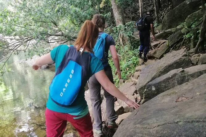 Sri Lanka Sinharaja Rain Forest Tour with Transport - The Bottom Line: Who Should Consider This Tour?
