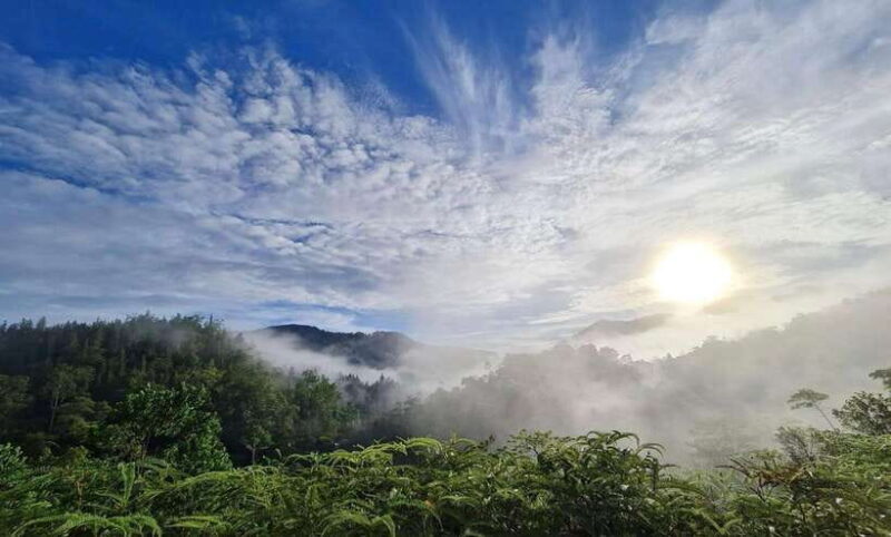 Sri Lanka : Sinharaja Rainforest Guided Trek with Pickup - Key Points