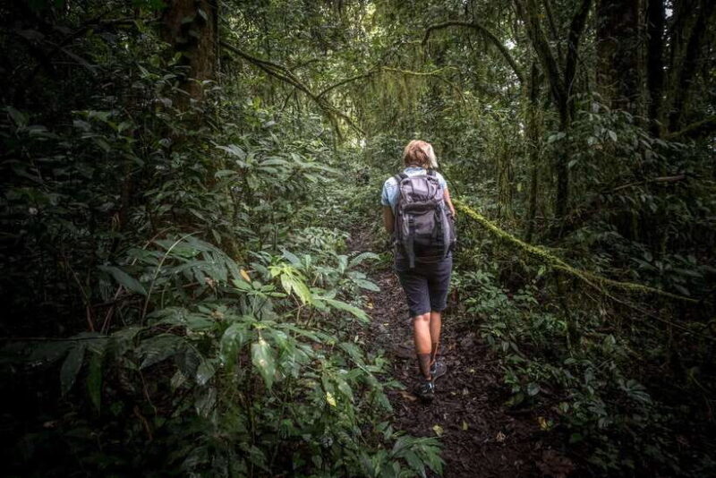 Sri Lanka: Sinharaja rainforest tour from Colombo, Bentota - Discovering the Magic of Sinharaja