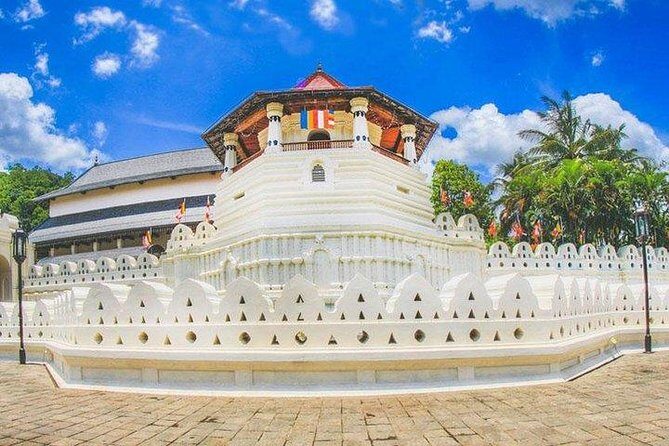 Sri Lanka Tour 06 Nights 07 Days with Hotels & Transport - Why This Tour Offers Great Value