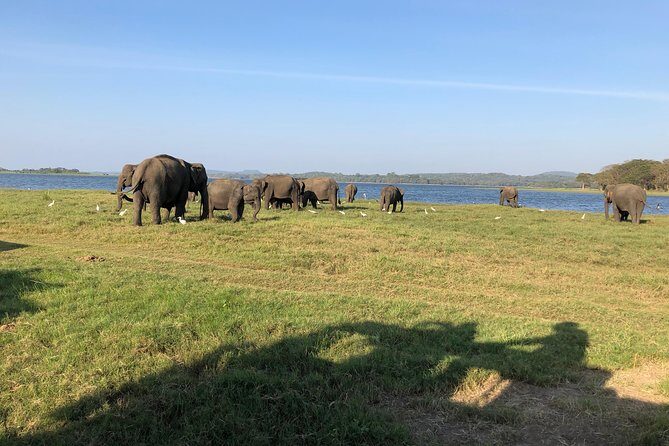 Sri Lanka Tour in 8 Days - FAQ