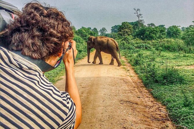 Sri Lanka tour itinerary . 6N/7D with driver, vehicle and H/B accommodations - Discovering Sri Lanka’s Iconic Sites in Detail