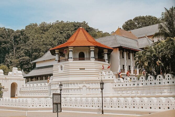 Sri Lanka Tour Plan - 14 Days - Private Transport And Hotel - Who Would Benefit Most from This Tour?