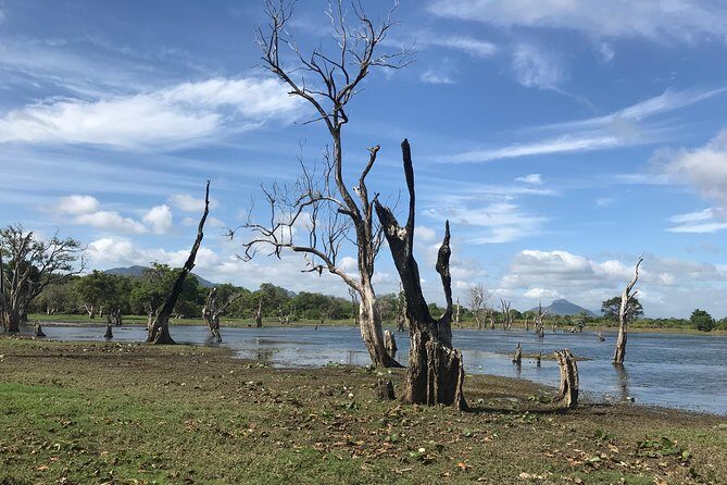 Sri Lanka tours 12-Day wildlife Tour with driver,Car or Van and accommodations - FAQs