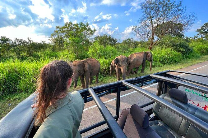 Sri Lanka Travel in 08 Nights 09 Days - Detailed Review of the Tour Experience