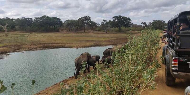Sri Lanka: Yala National Park Private Safari - Authentic Experiences & Real Traveler Insights