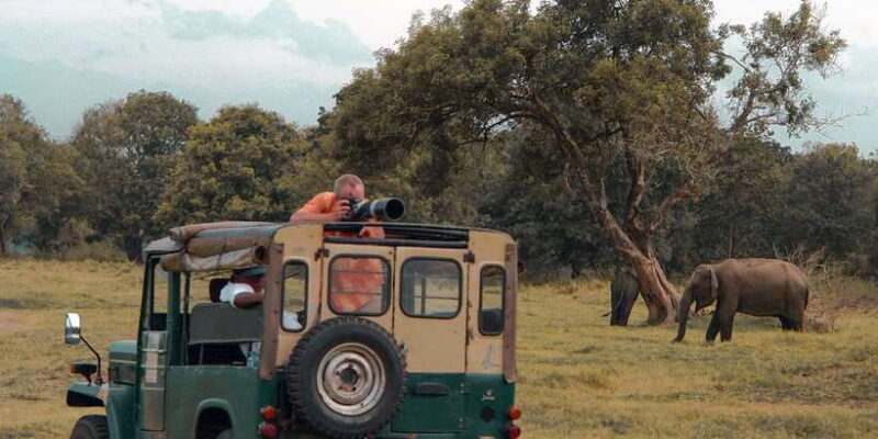 Sri Lanka: Yala National Park Private Safari - The Value for Your Money