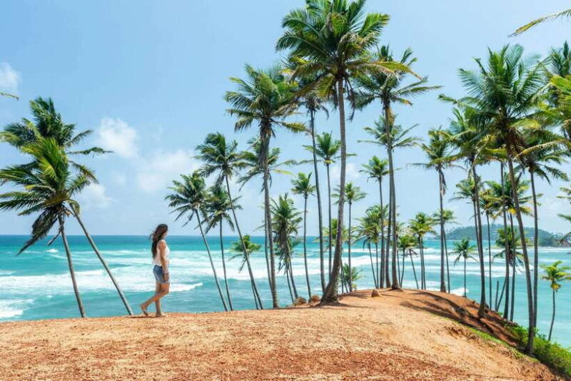 Sri Lanka:2-day wildlife tour+Yala, Rekewa, Mirissa, Bentota - Key Points