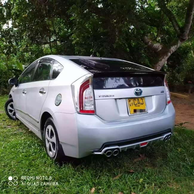 Srilanka one day & multi day Tours - Car Rental Service - Key Points