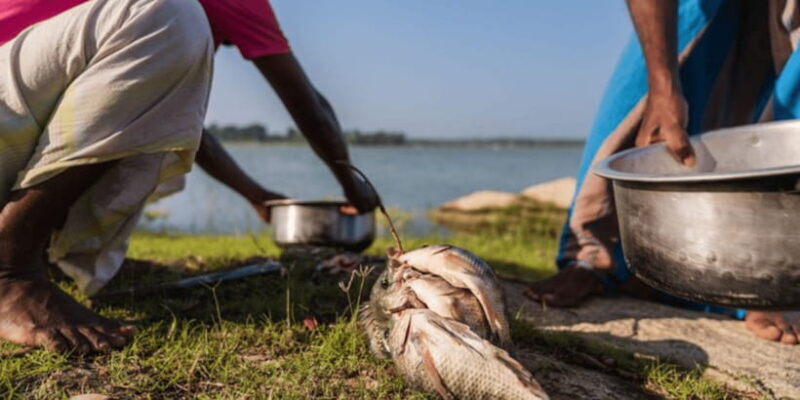 SriLankan Village Delight: Fish,Cook,Savor Lunch Experience - Who Will Love This Experience?