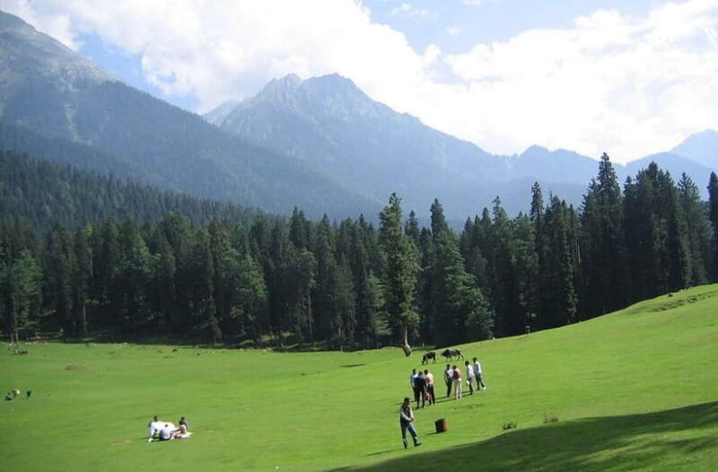 Srinagar: Doodhpathri Day Trip with Transfers - Key Points
