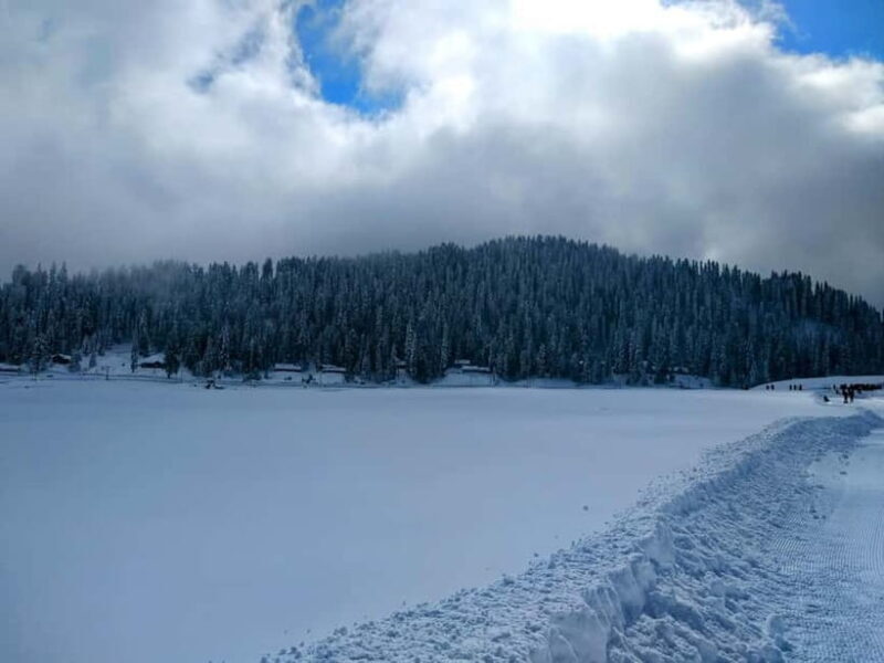 Srinagar: Gulmarg Day Tour - Explore the Meadow of Flowers - Why This Tour Matters: A Closer Look