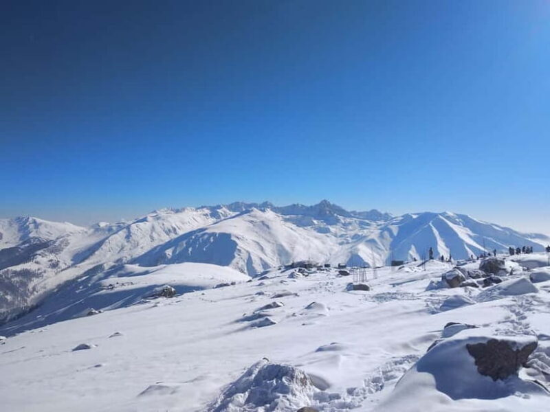 Srinagar: Gulmarg Day Tour - Explore the Meadow of Flowers - Authentic Reviews: Real Travelers Speak