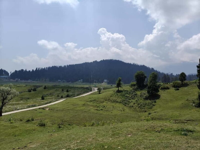 Srinagar: Gulmarg Day Tour - Explore the Meadow of Flowers - The Best Fit for This Tour