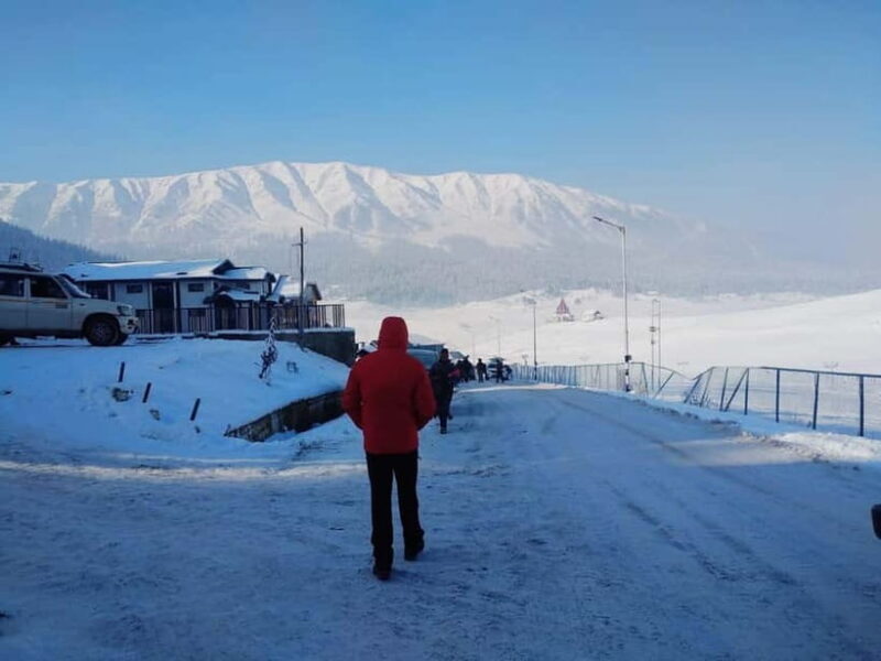 Srinagar: Gulmarg Day Tour - Explore the Meadow of Flowers - The Sum Up: Who Should Consider This Tour?