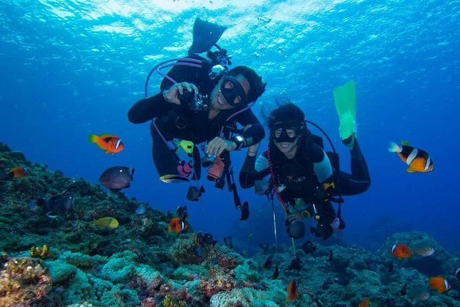 SSI | Padi Open Water Course in Phuket - An In-Depth Look at the Phuket PADI Open Water Course