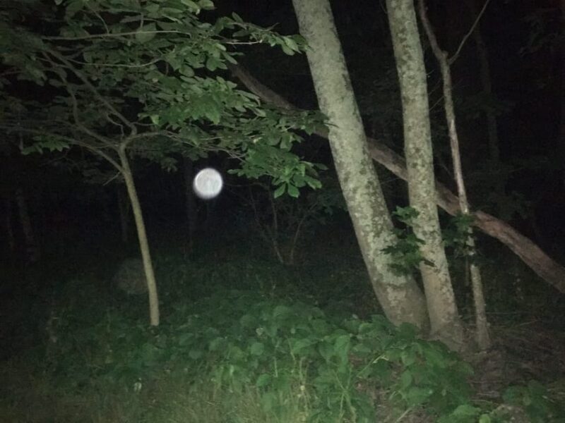 St. Augustine: Devil's Hour Paranormal Investigation Tour - Who Should Consider This Tour?