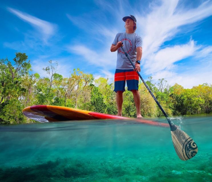 St. Augustine: Dolphin and Manatee Paddle or Kayak Tour - A Closer Look at the Experience