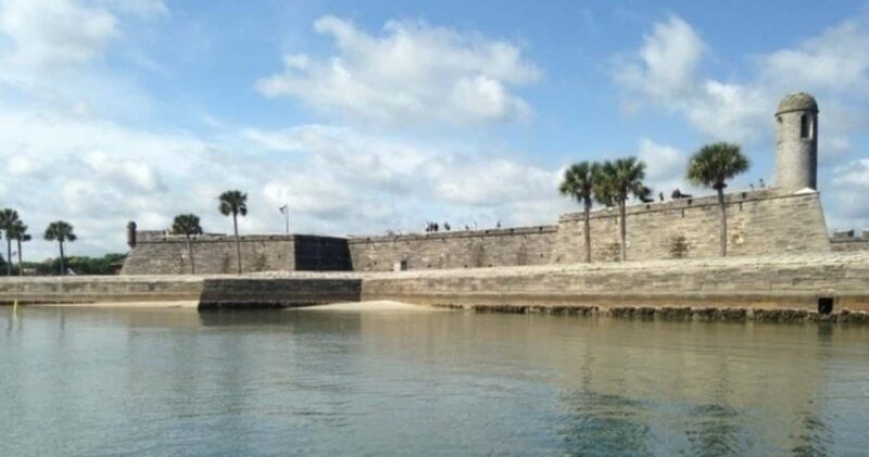 St. Augustine: Dolphin and Wildlife Historical Boat Tour - Wildlife Watching: The Main Attraction