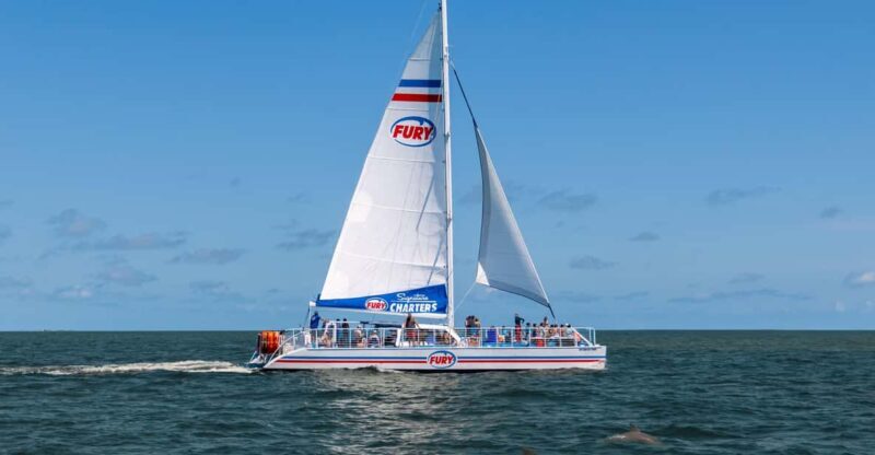 St. Augustine: Dolphin Watching Harbor Tour with Drinks - A Detailed Look at the Dolphin Watching Harbor Tour